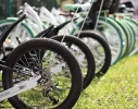 WYPO - sezonowa wypożyczalnia rowerów 