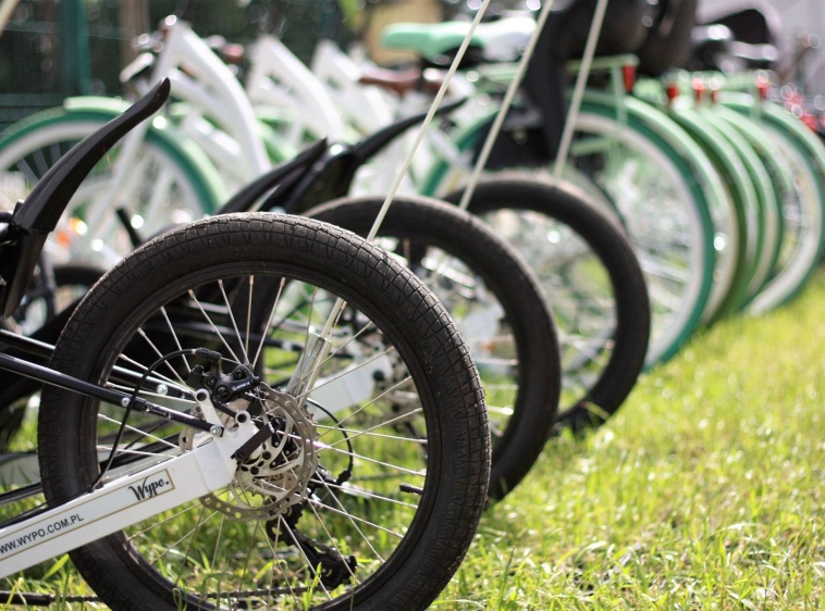 WYPO - sezonowa wypożyczalnia rowerów