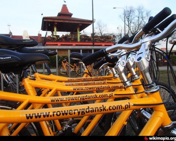 Wypożyczalnia rowerów -Alfa Rowery Sopot